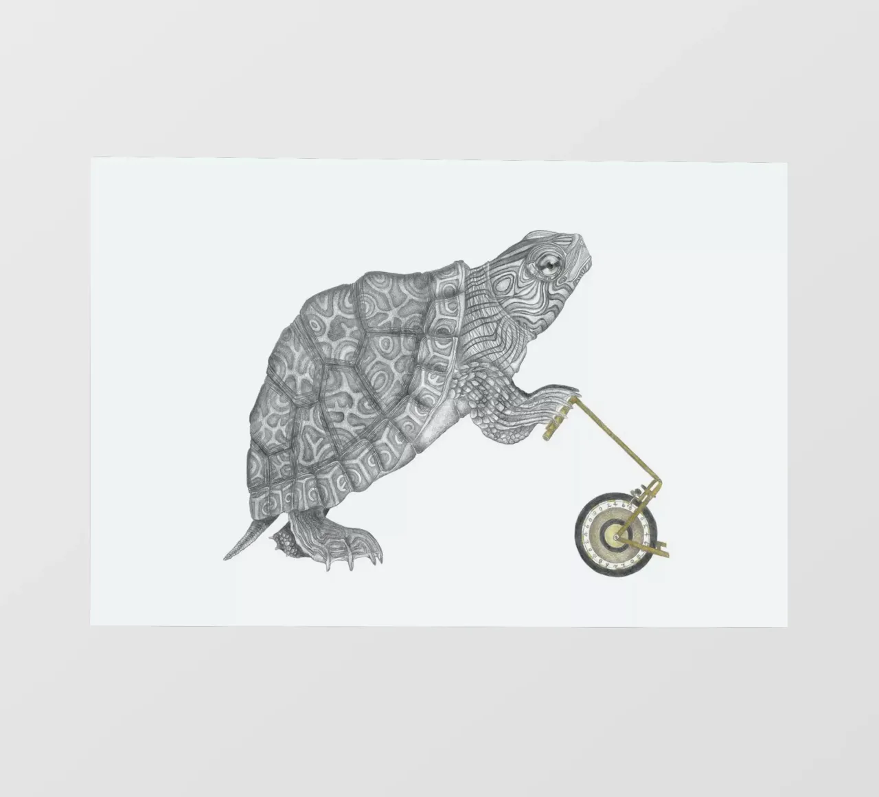 Muldoon Parker Common Map Turtle telo in pvc da Le Canot Rouge