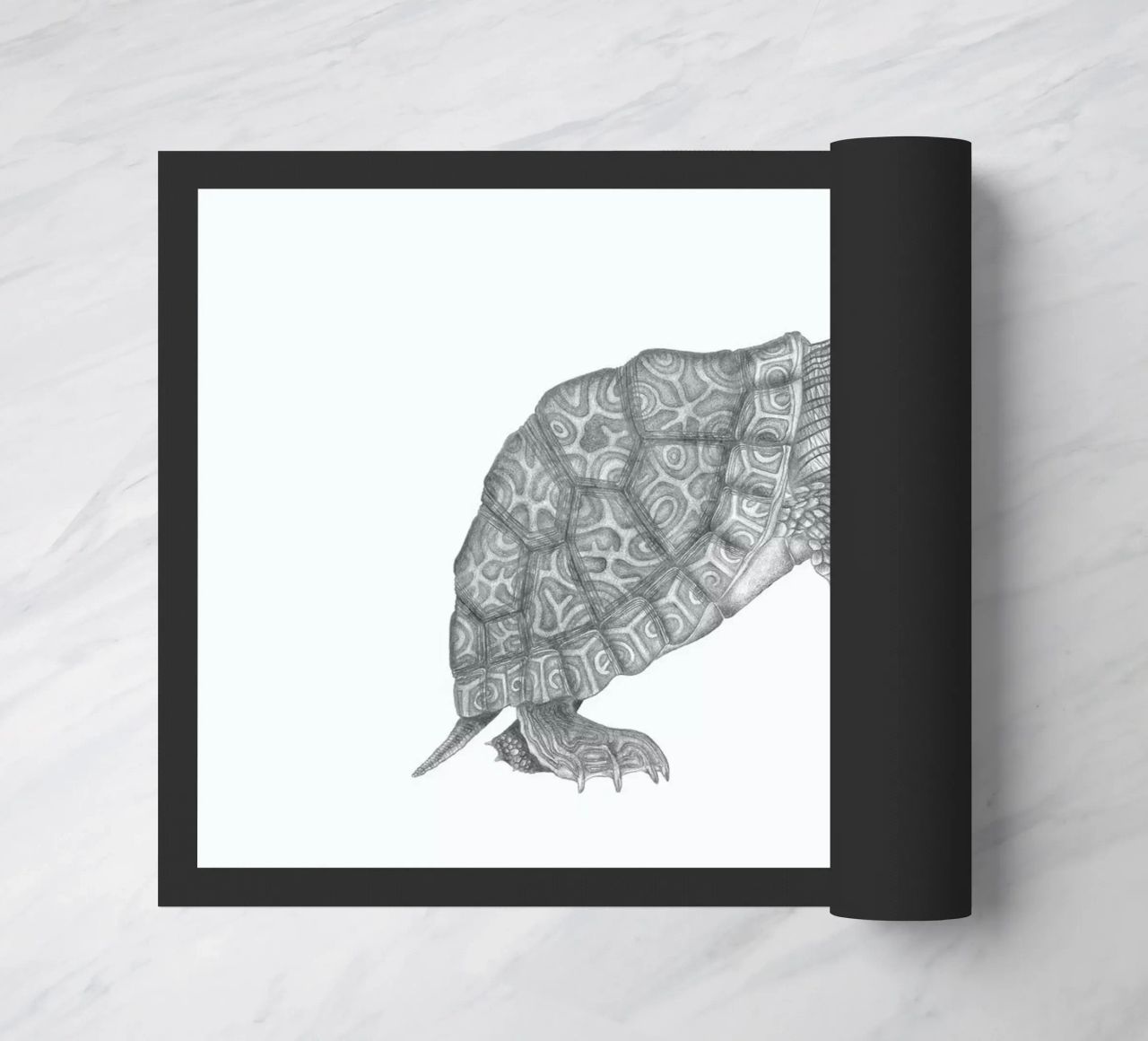 Muldoon Parker Common Map Turtle zerbino da Le Canot Rouge