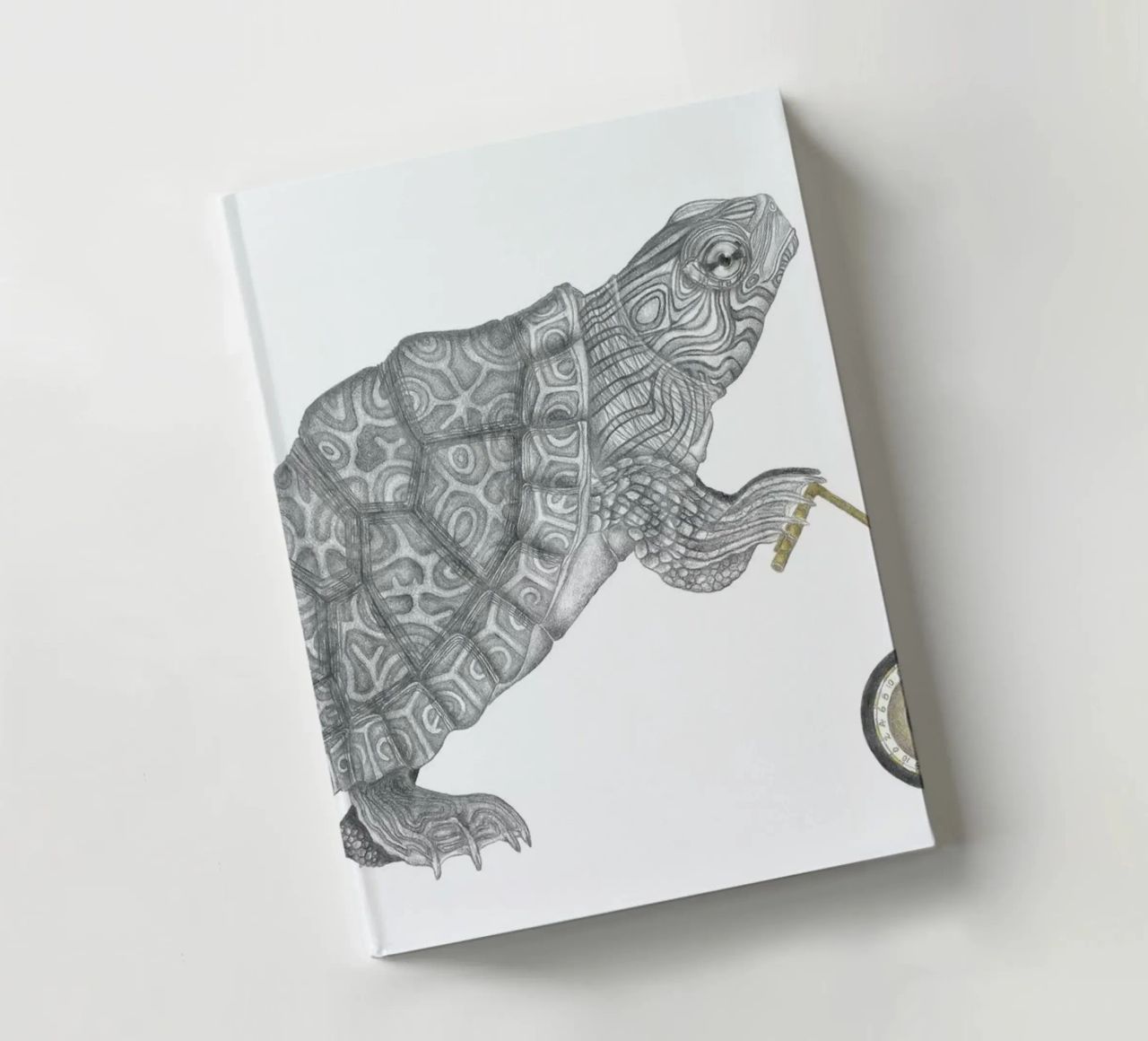 Muldoon Parker Common Map Turtle notebook by Le Canot Rouge