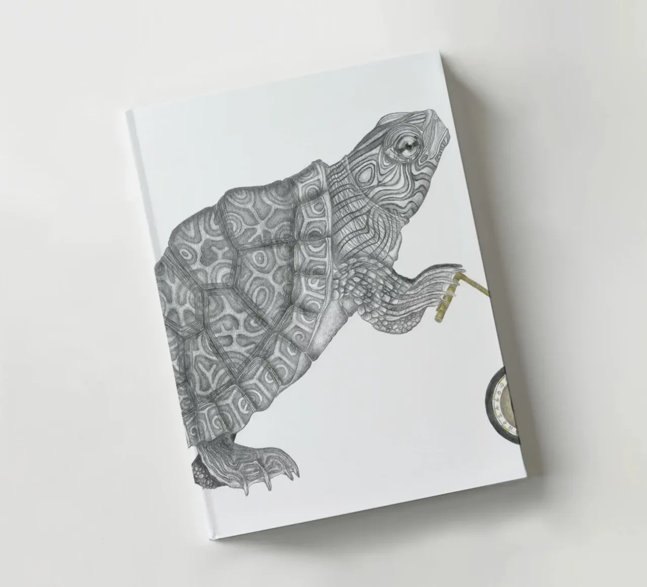Muldoon Parker Common Map Turtle diario da Le Canot Rouge