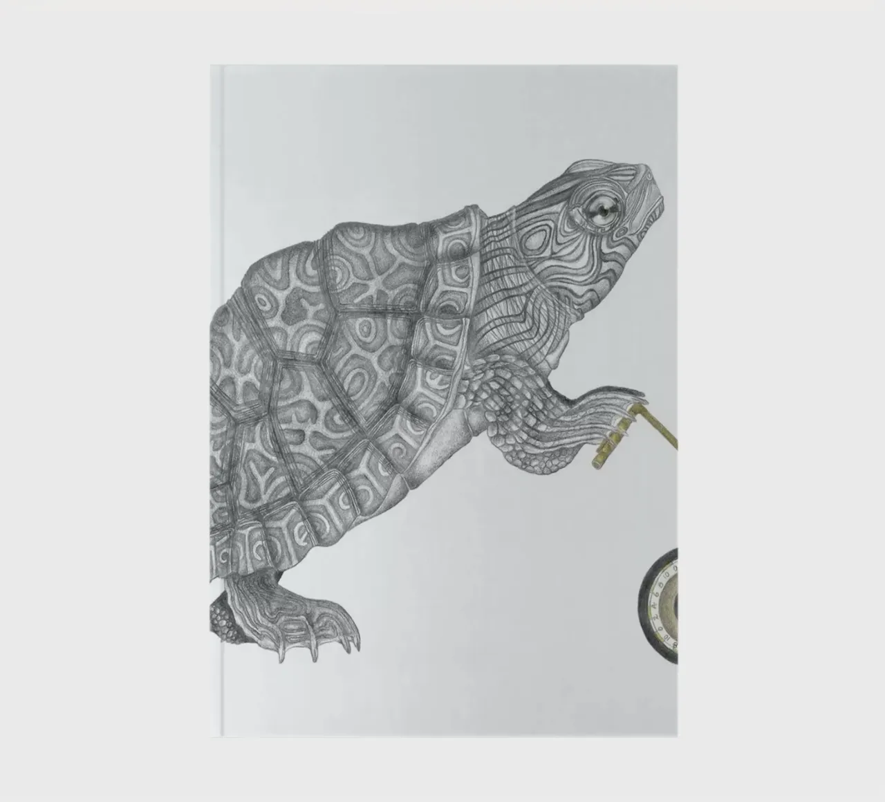 Muldoon Parker Common Map Turtle diario da Le Canot Rouge