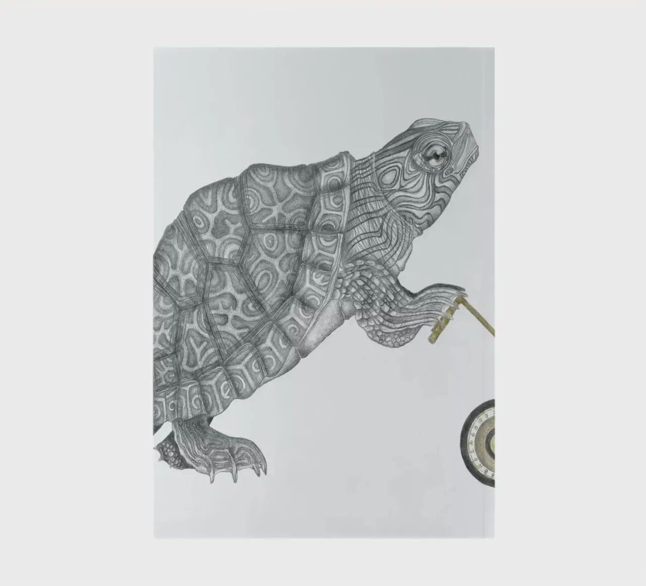 Muldoon Parker Common Map Turtle diario da Le Canot Rouge