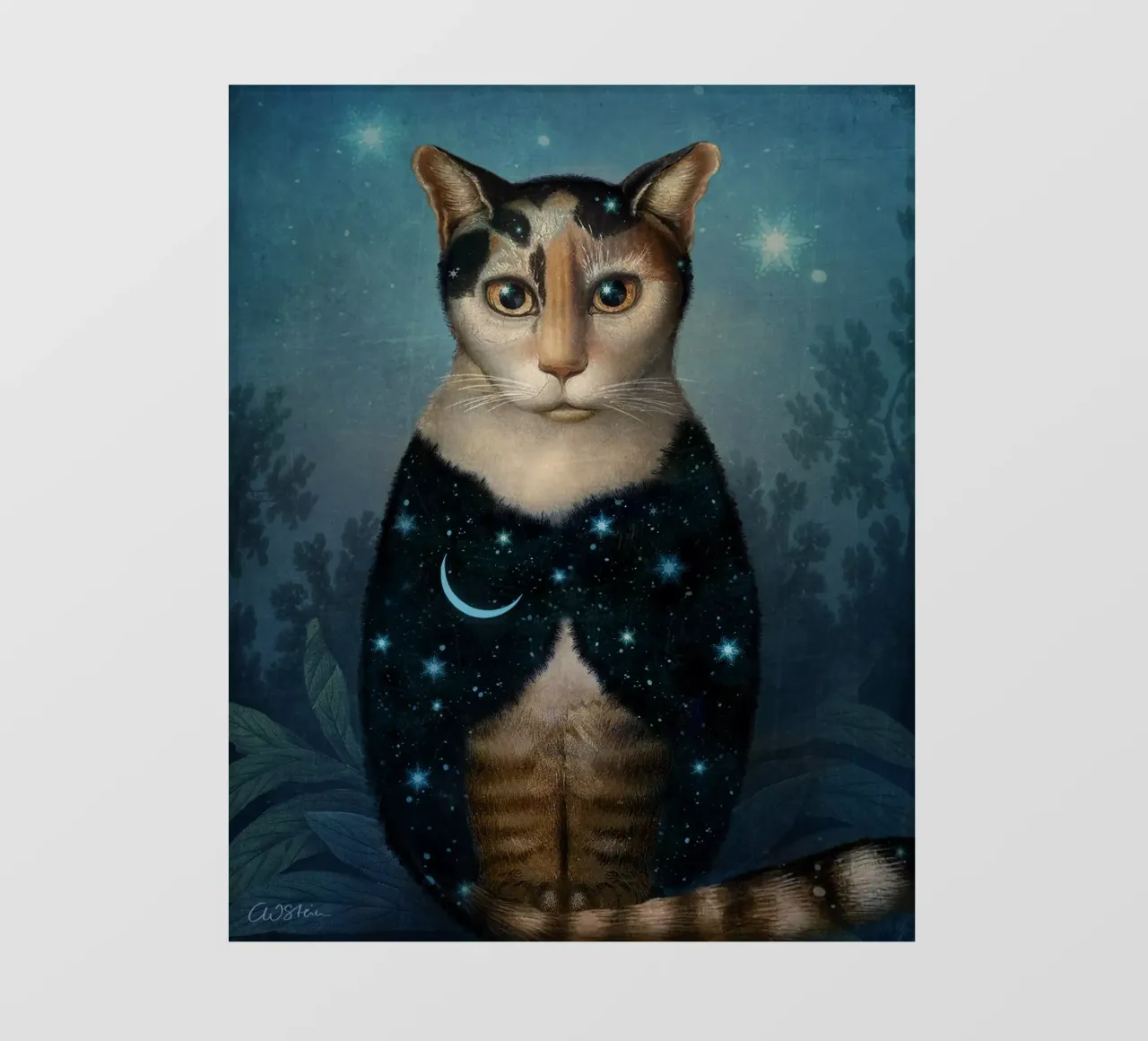 Midnight Cat pellicola backlit da Catrin Welz-Stein