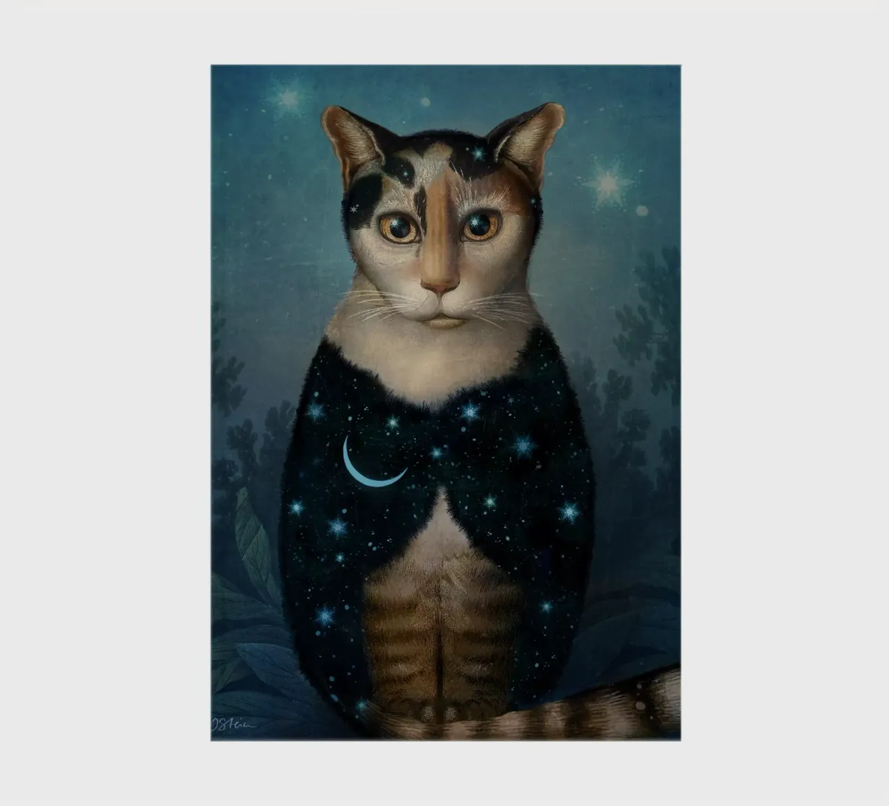 Midnight Cat notebook by Catrin Welz-Stein