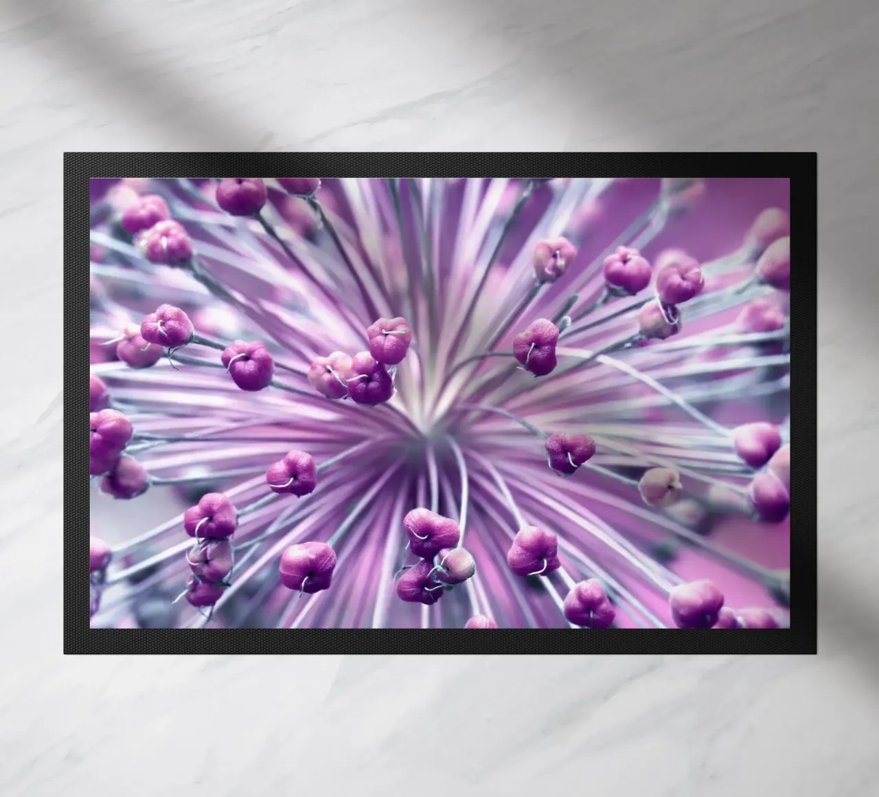 Allium zerbino da Atteloi