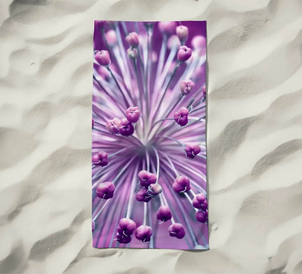 Allium telo mare da Atteloi