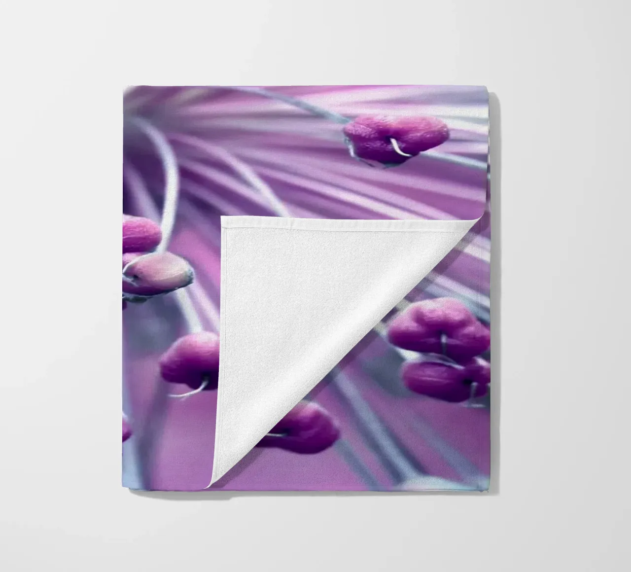 Allium telo mare da Atteloi