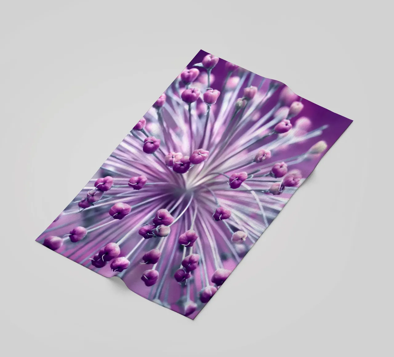 Allium telo mare da Atteloi