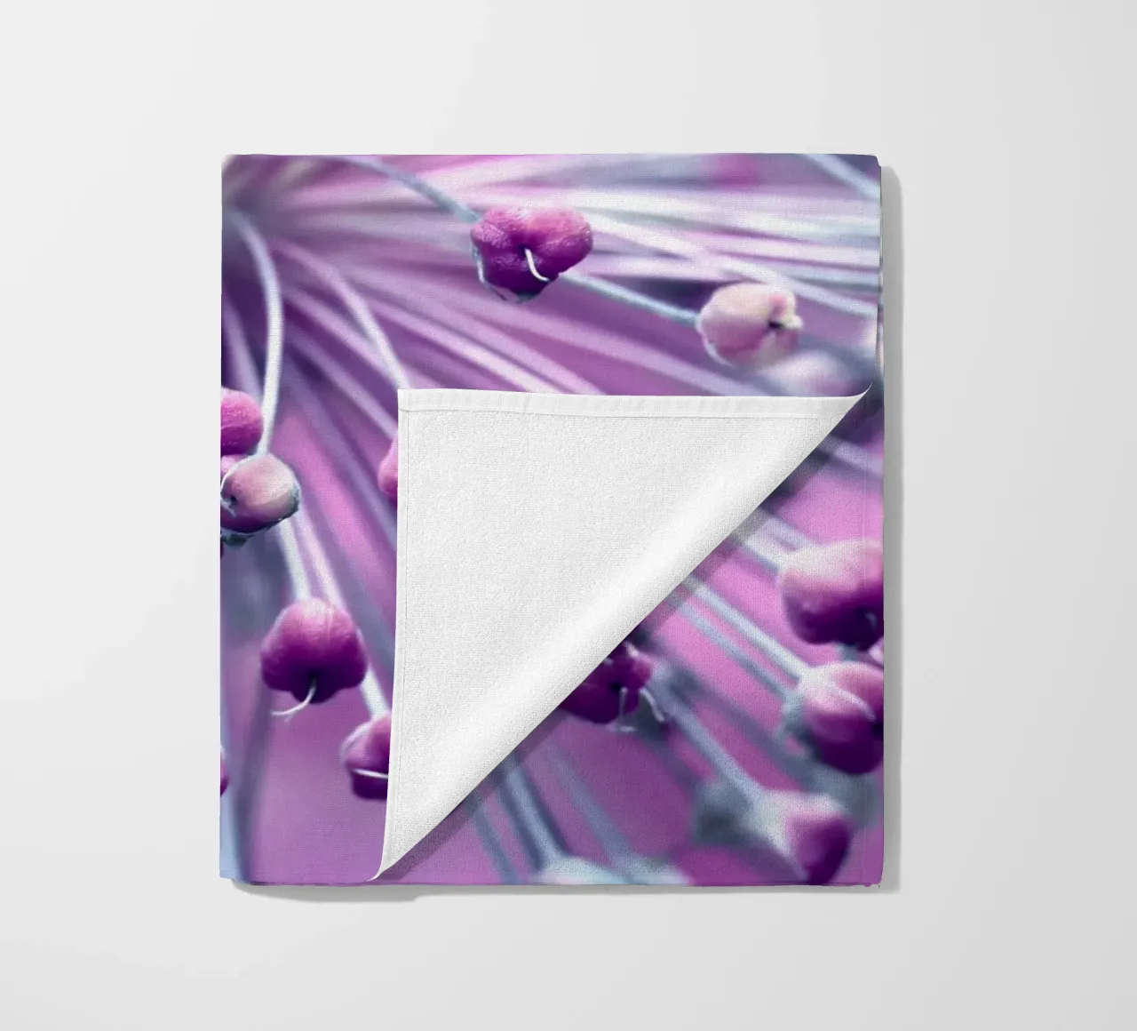 Allium telo mare da Atteloi