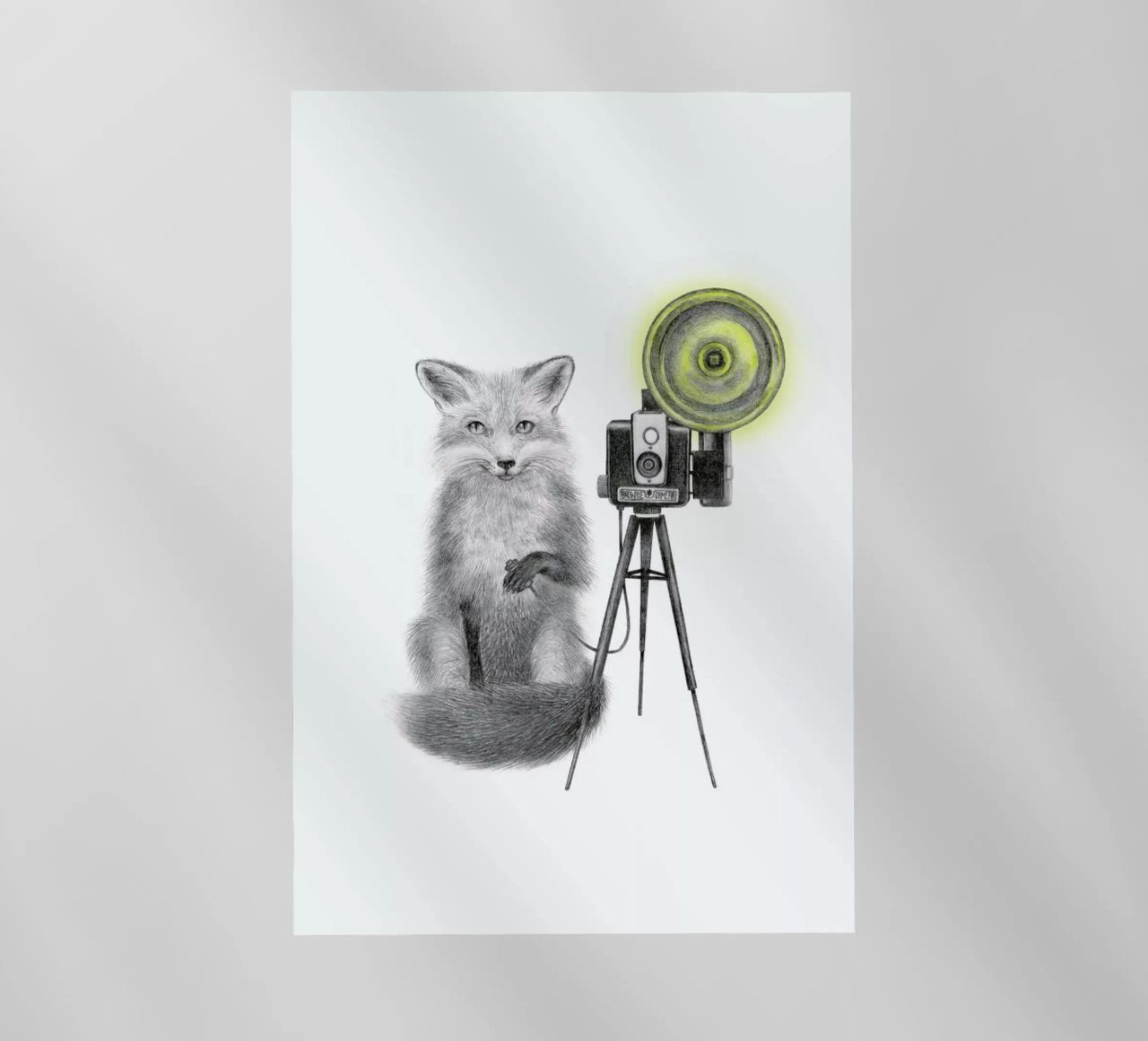 Quinn Bancroft Fox pellicola backlit da Le Canot Rouge