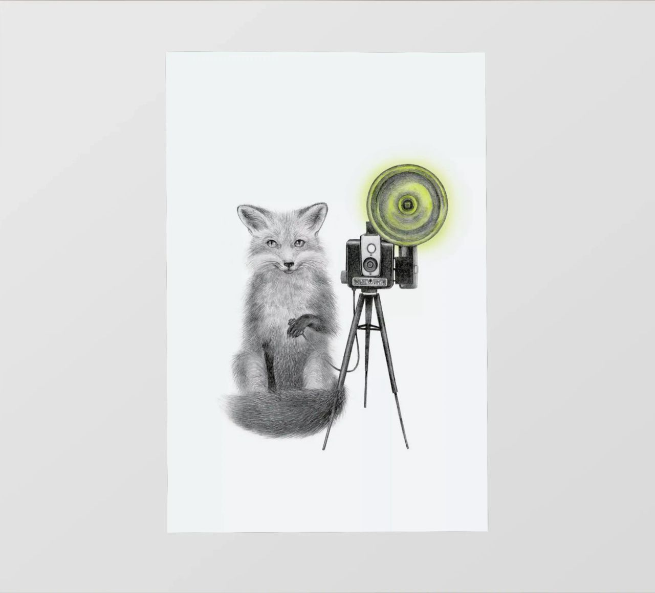 Quinn Bancroft Fox pellicola backlit da Le Canot Rouge