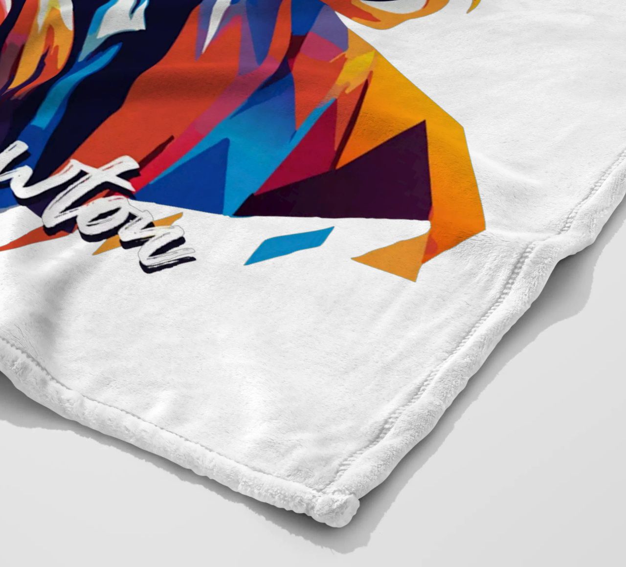Isaac Newton in WPAP Pop Art coperta in pile da vectorartnesia