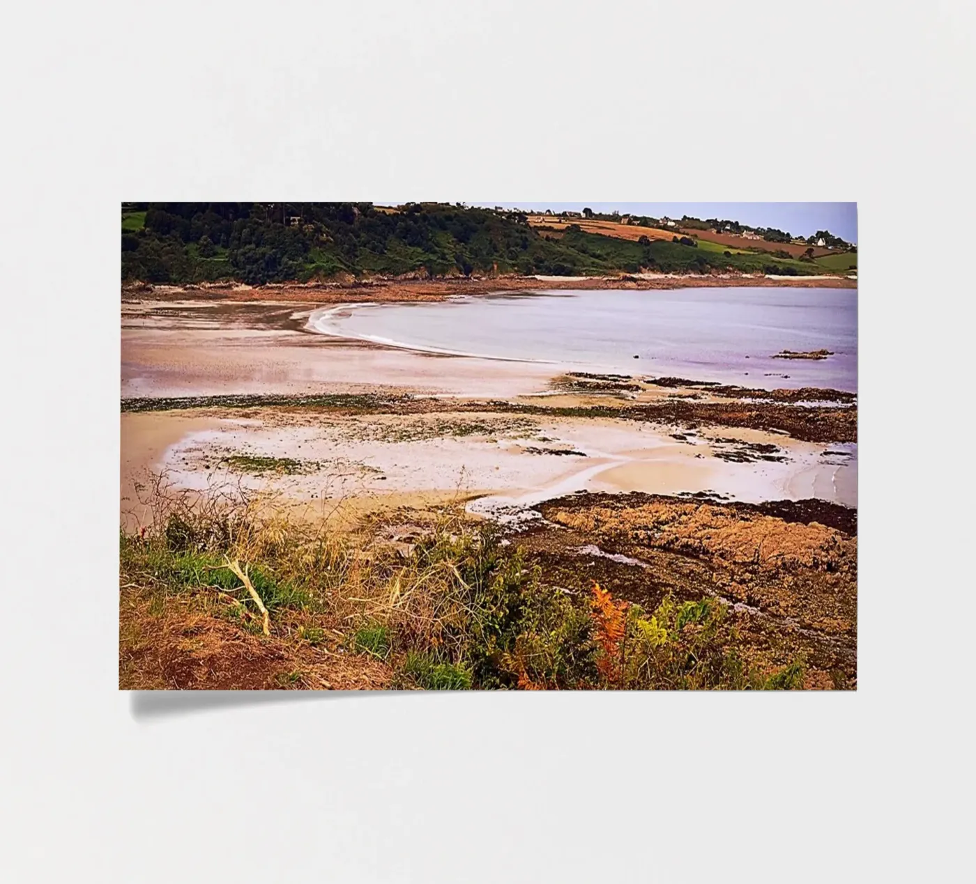 FAA2 sticker sheet by Thierry vobmann photography