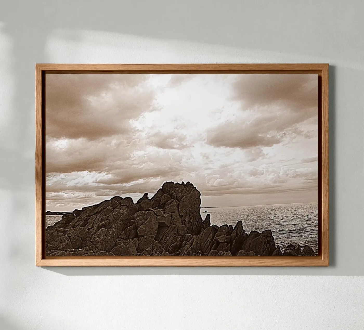 FAA6 forex plate by Thierry vobmann photography