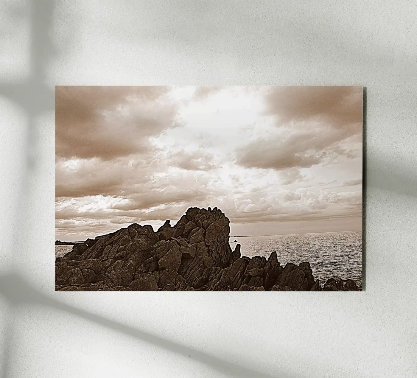 FAA6 forex plate by Thierry vobmann photography