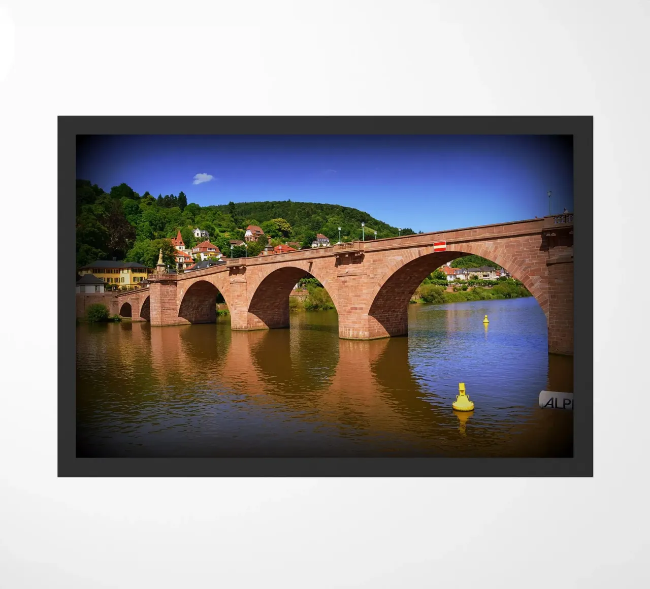 FAA7 zerbino da Thierry vobmann photography