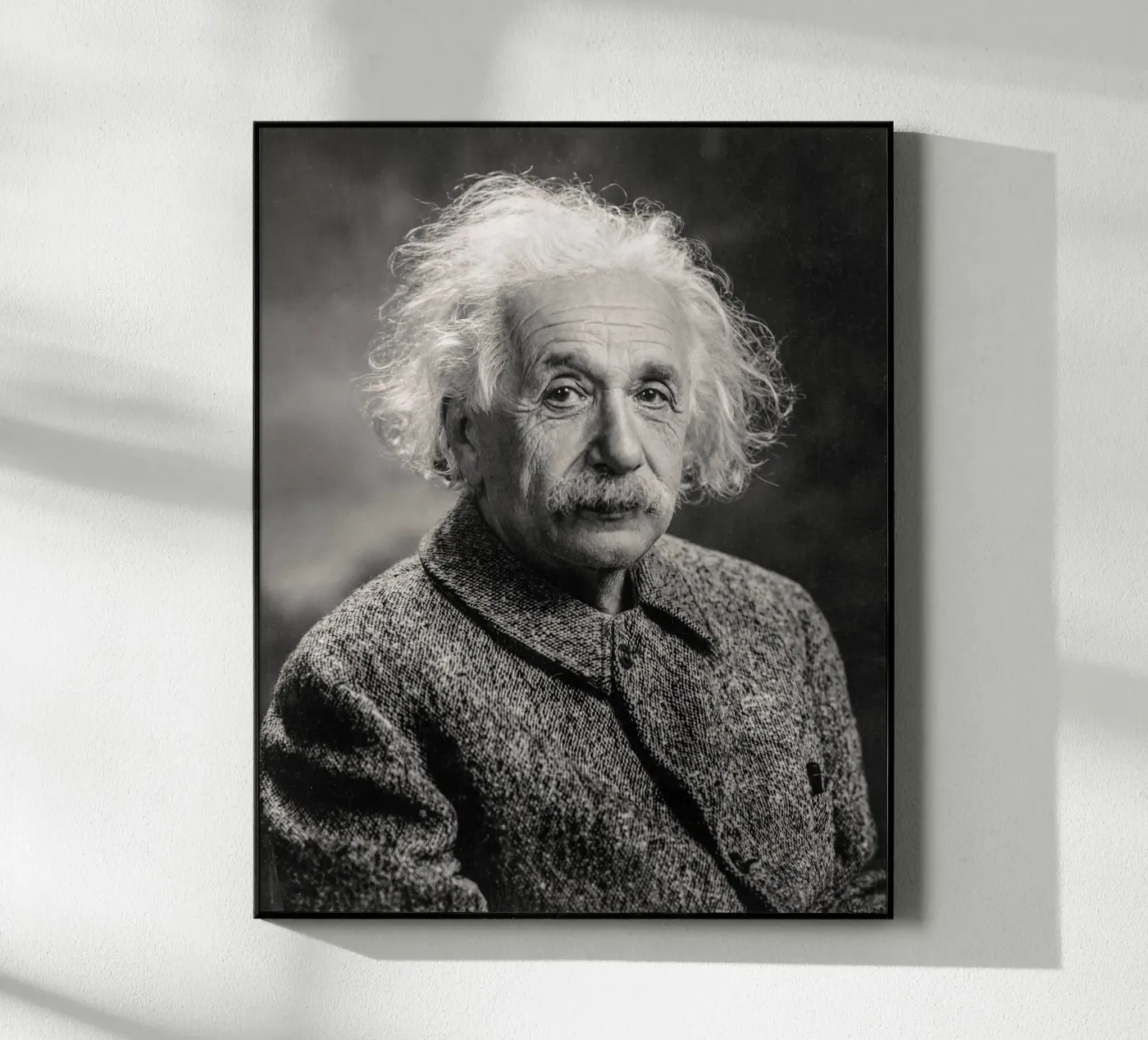 Albert Einstein Portrait plexiglass da bwphoto