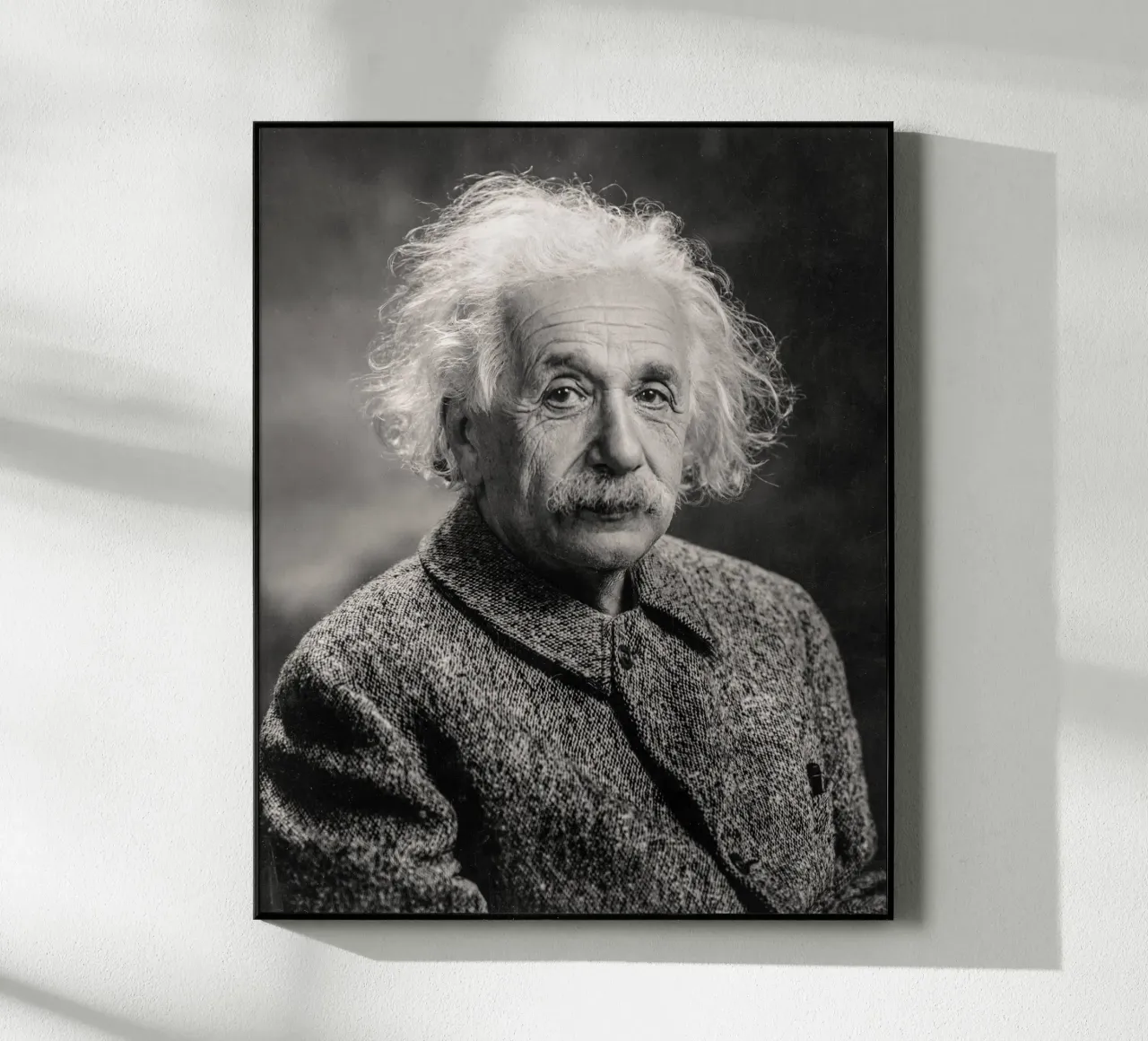 Albert Einstein Portrait plexiglas de bwphoto