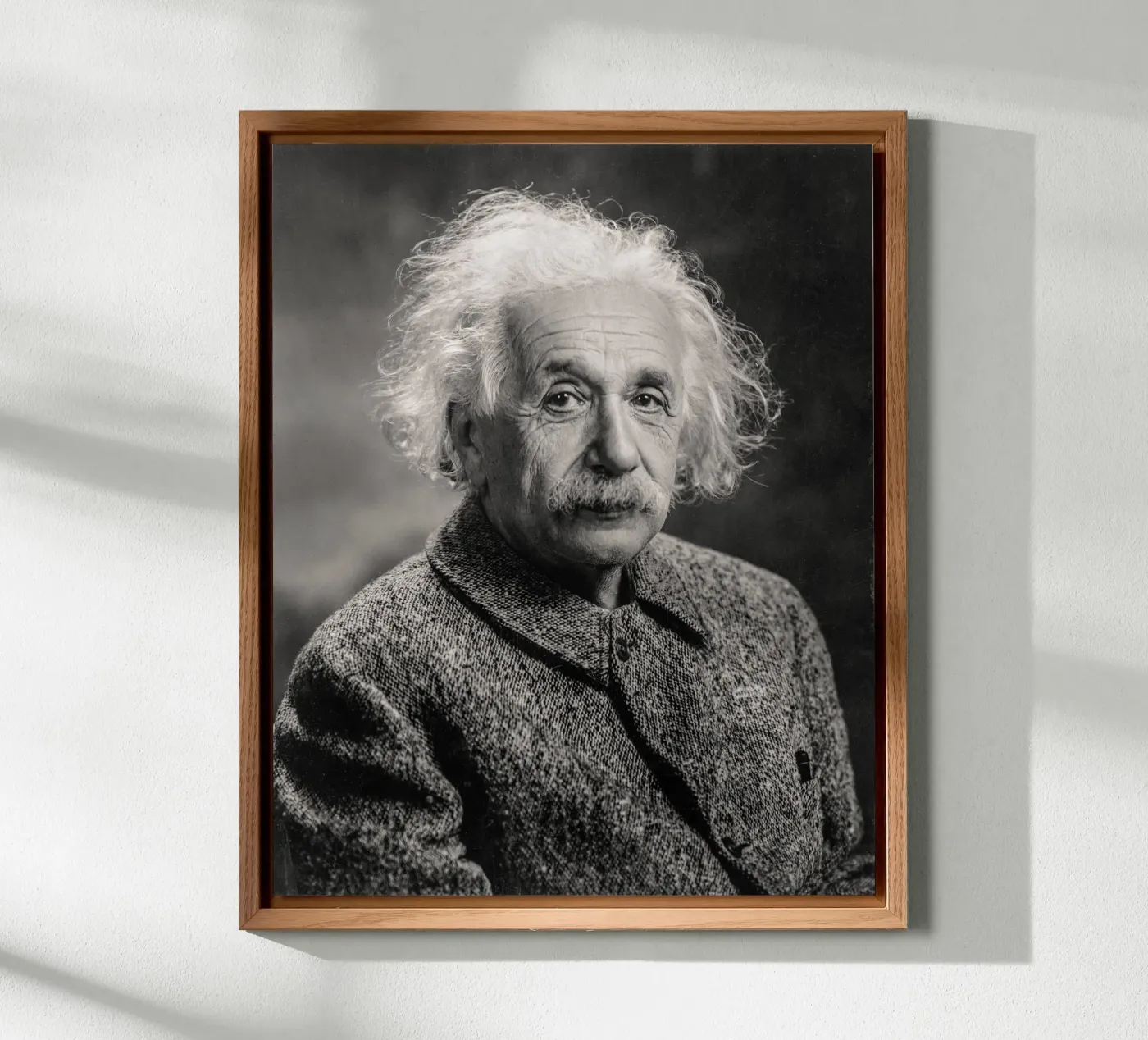 Albert Einstein Portrait forex plate by bwphoto