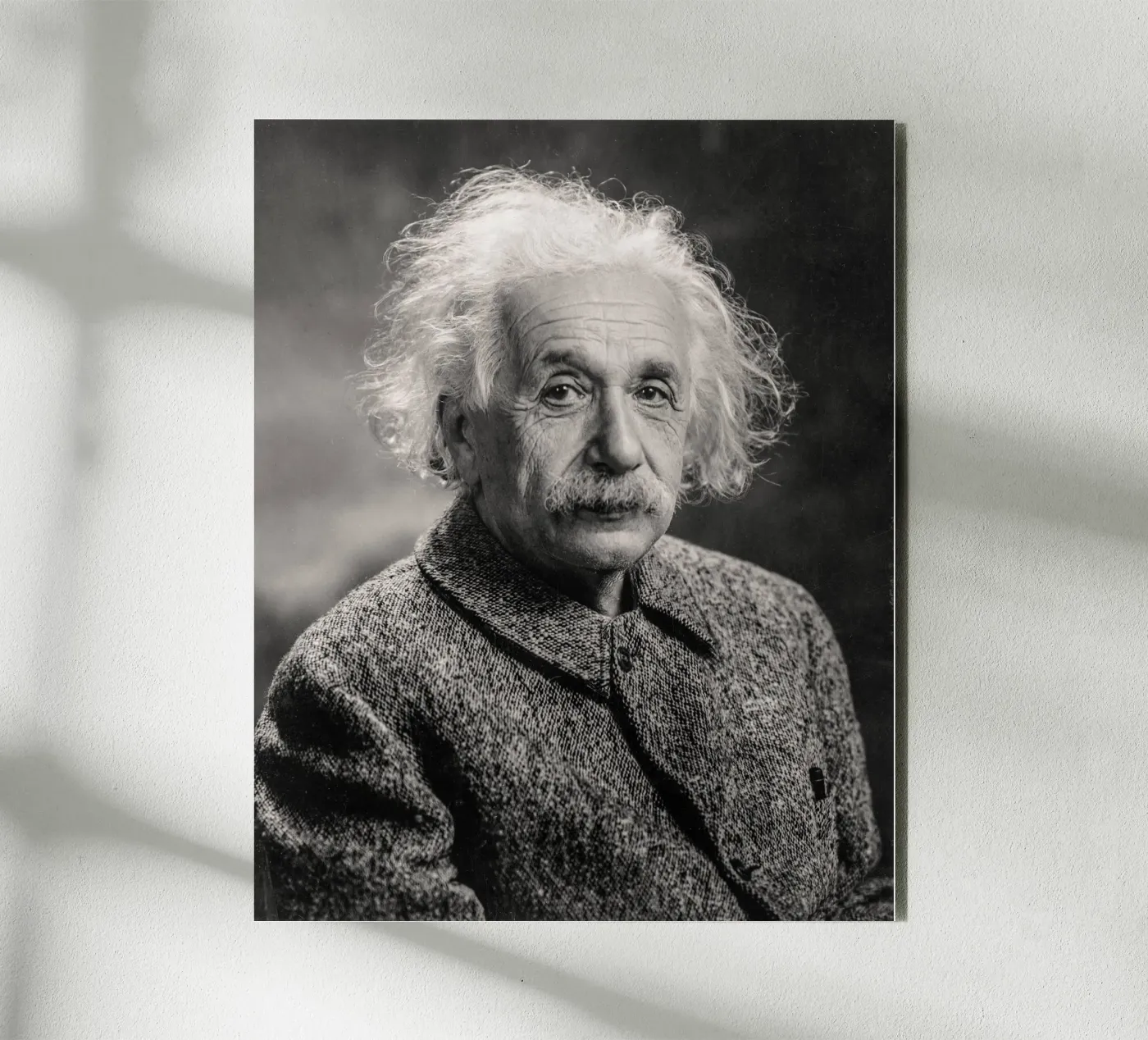 Albert Einstein Portrait forex plate by bwphoto