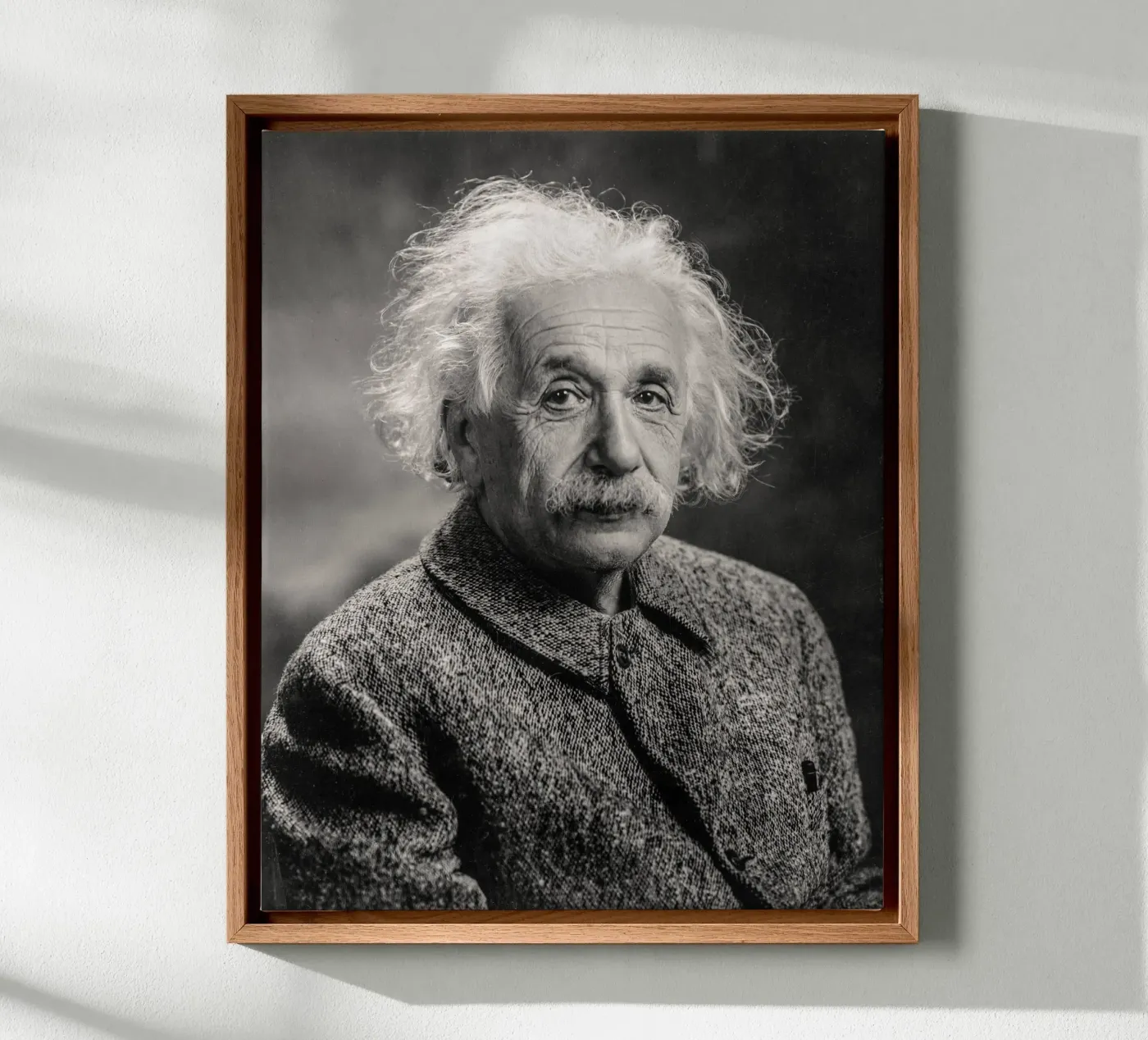 Albert Einstein Portrait tela da bwphoto