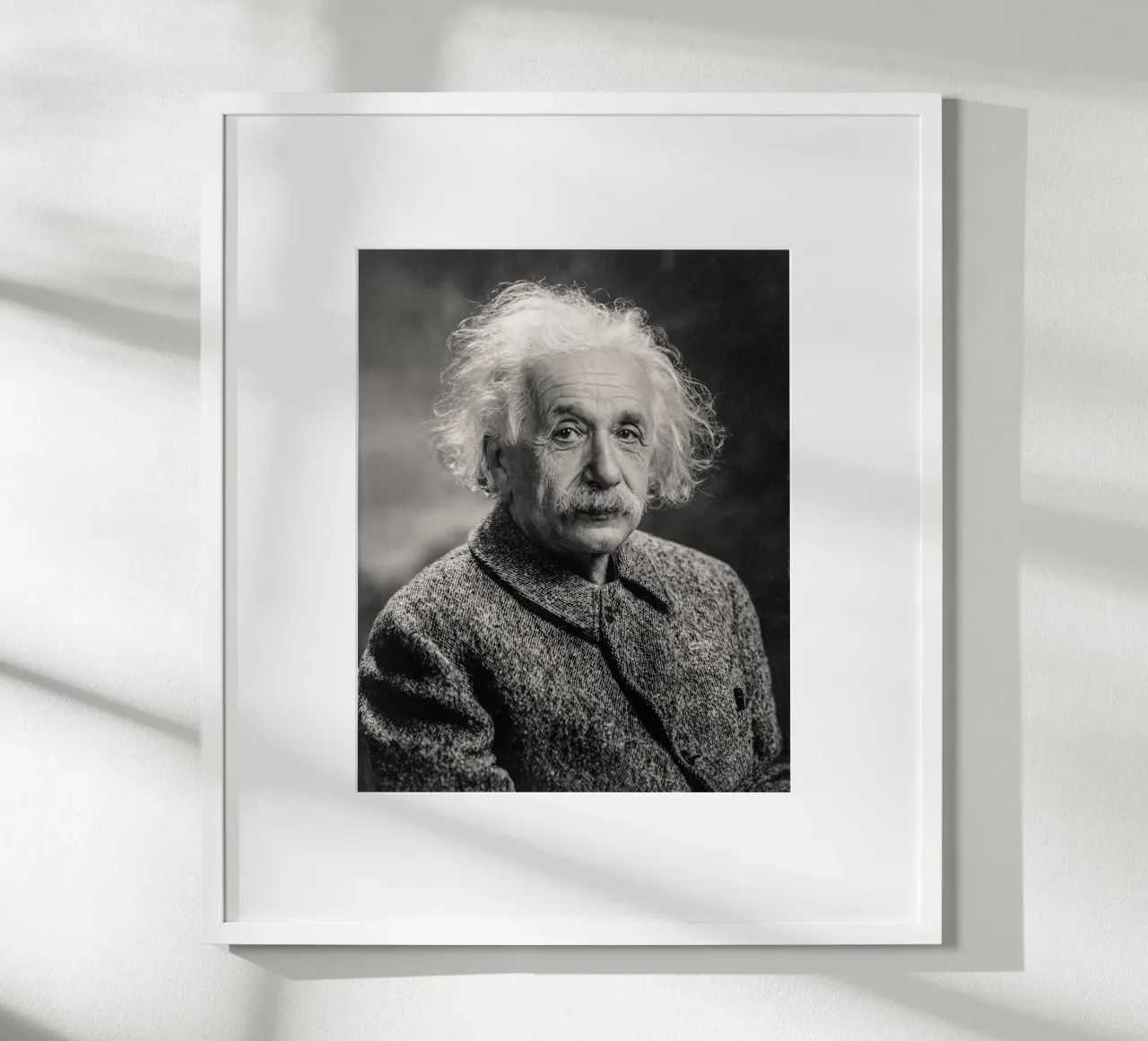 Albert Einstein Portrait poster by bwphoto