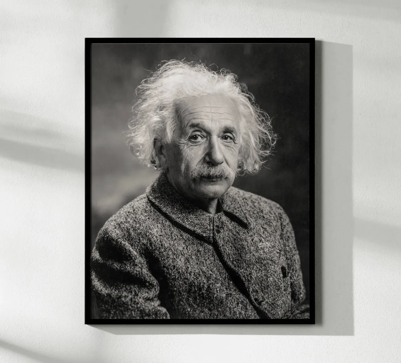 Albert Einstein Portrait poster by bwphoto