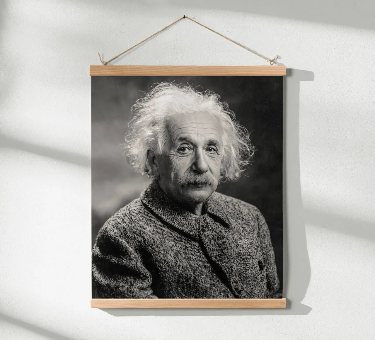 Albert Einstein Portrait poster by bwphoto