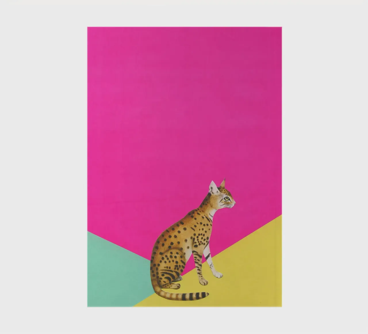 Big Cat notebook by Cassia Beck Collage