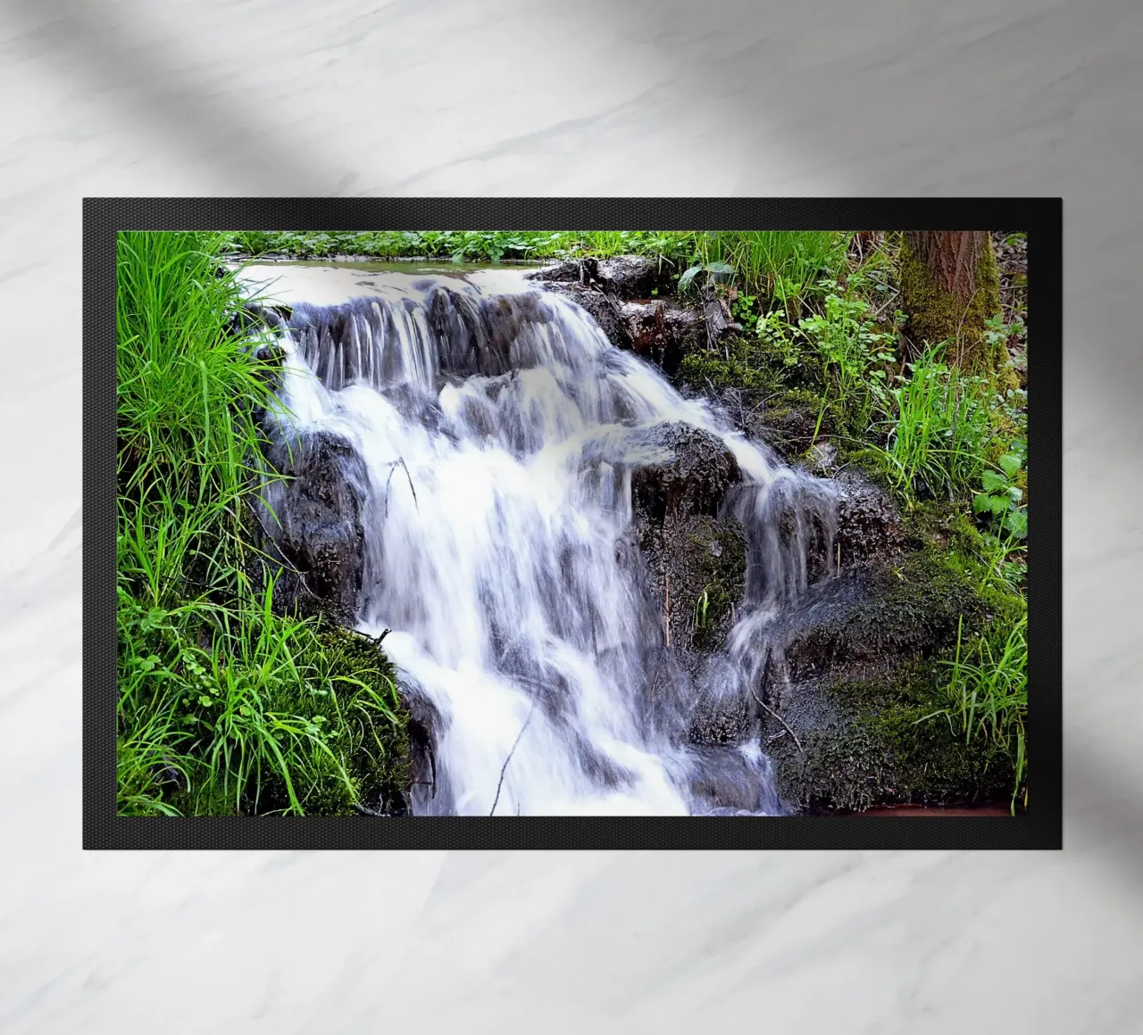 FAA8 zerbino da Thierry vobmann photography