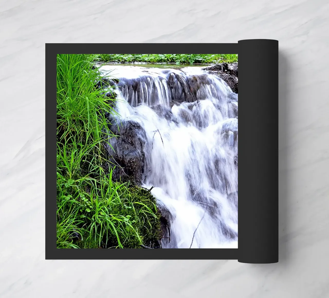 FAA8 zerbino da Thierry vobmann photography