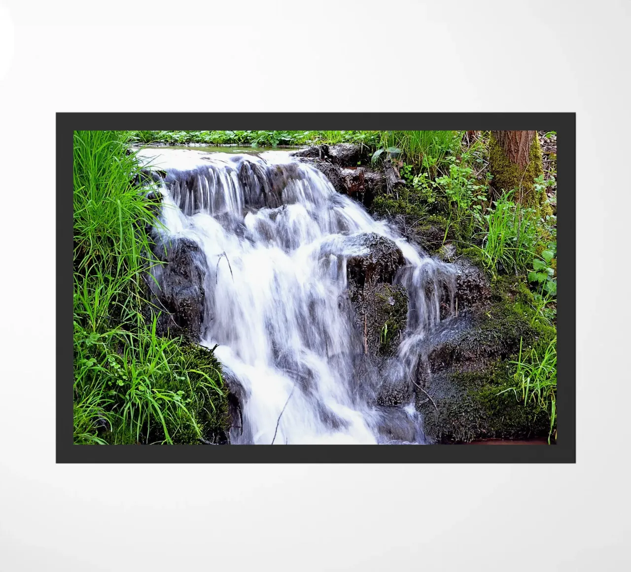 FAA8 zerbino da Thierry vobmann photography