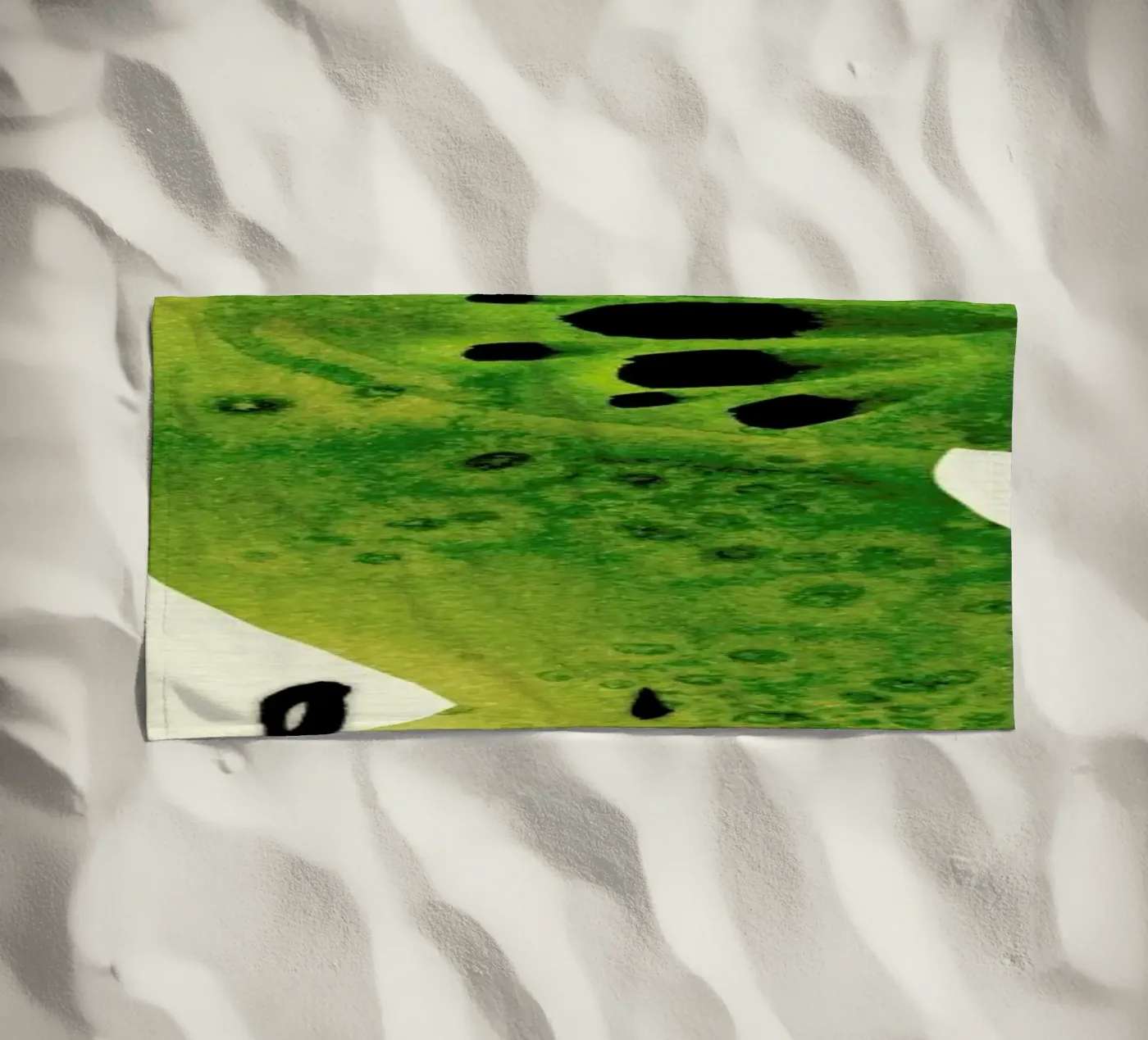 Kiwi telo mare da Ekaterina Koroleva