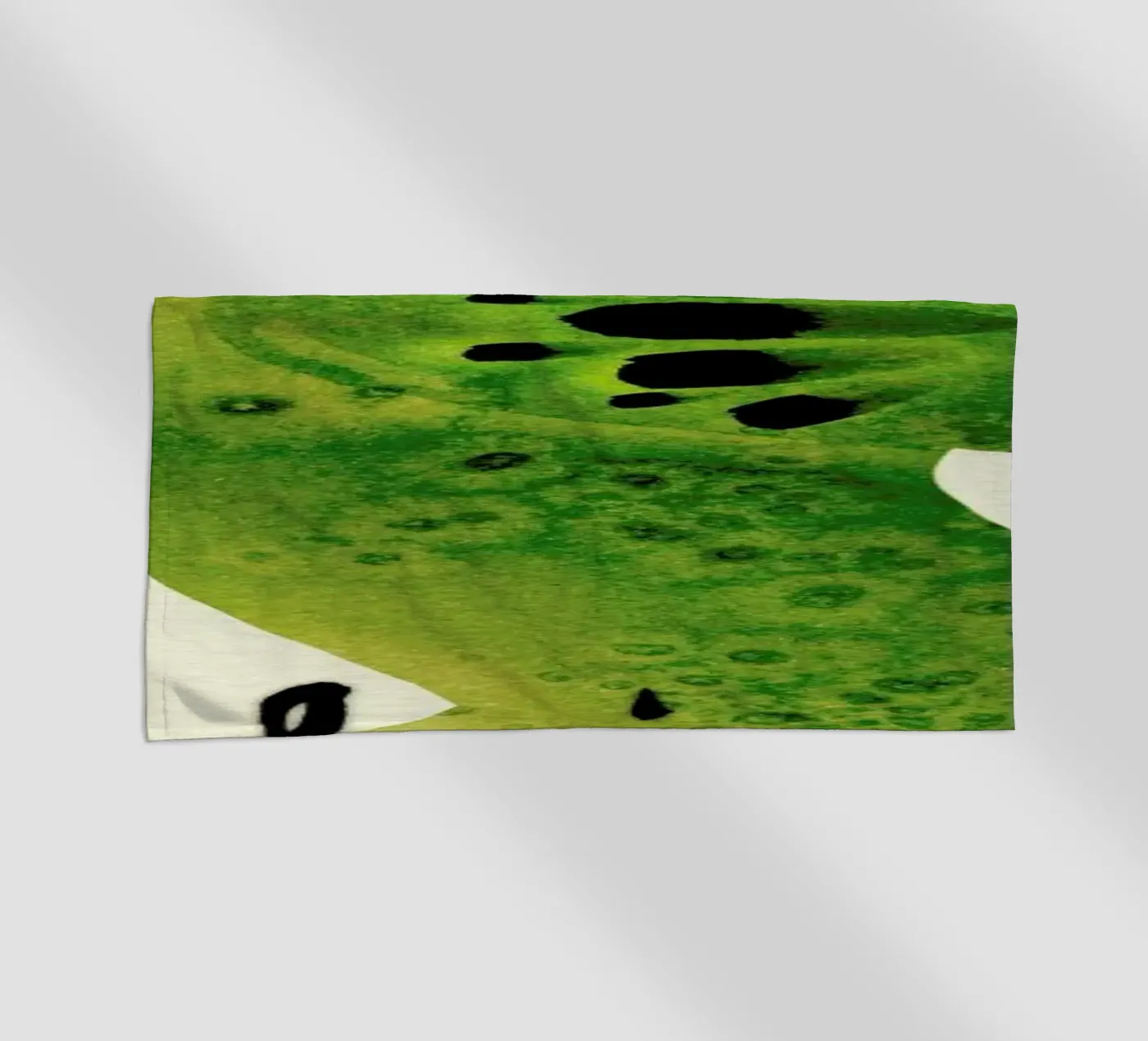 Kiwi telo mare da Ekaterina Koroleva