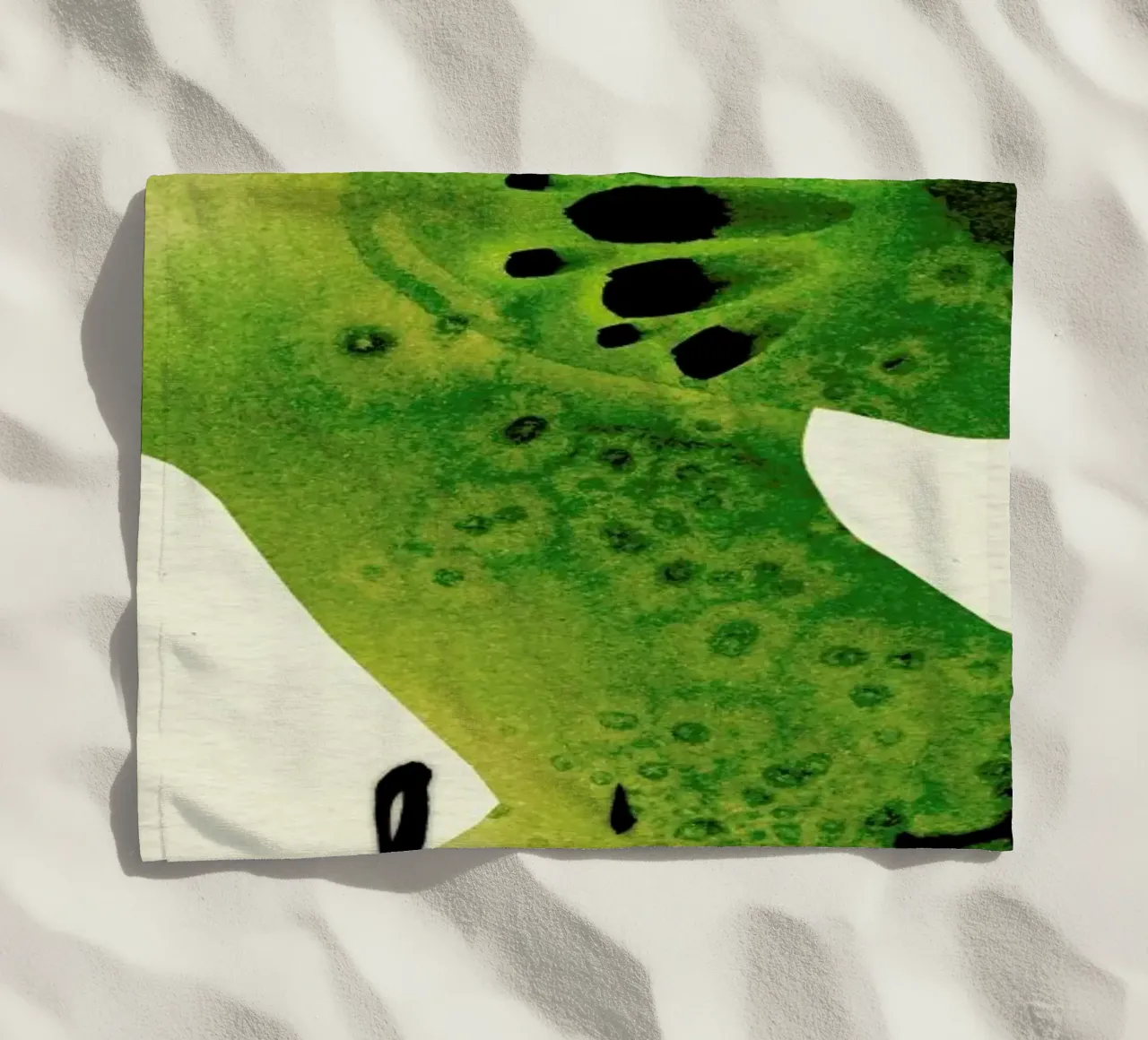 Kiwi telo mare da Ekaterina Koroleva