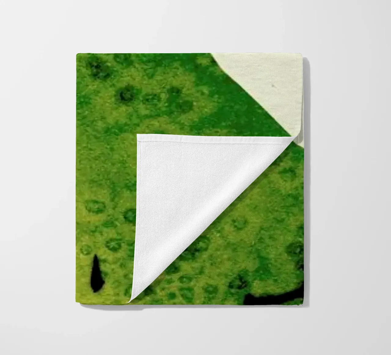 Kiwi telo mare da Ekaterina Koroleva