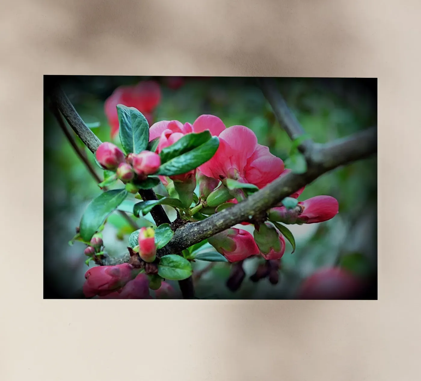 FAA10 pellicola backlit da Thierry vobmann photography