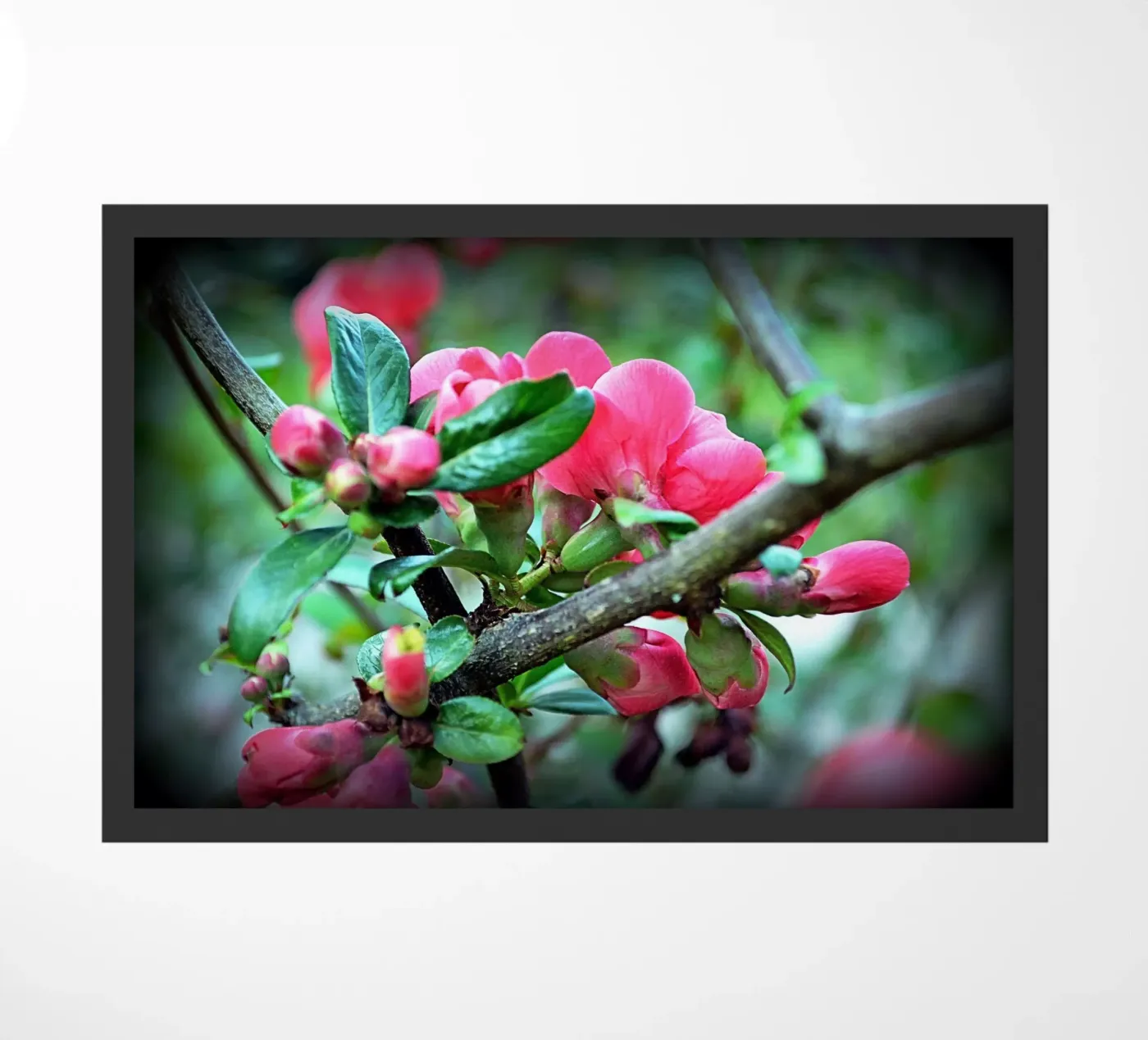 FAA10 deurmat van Thierry vobmann photography