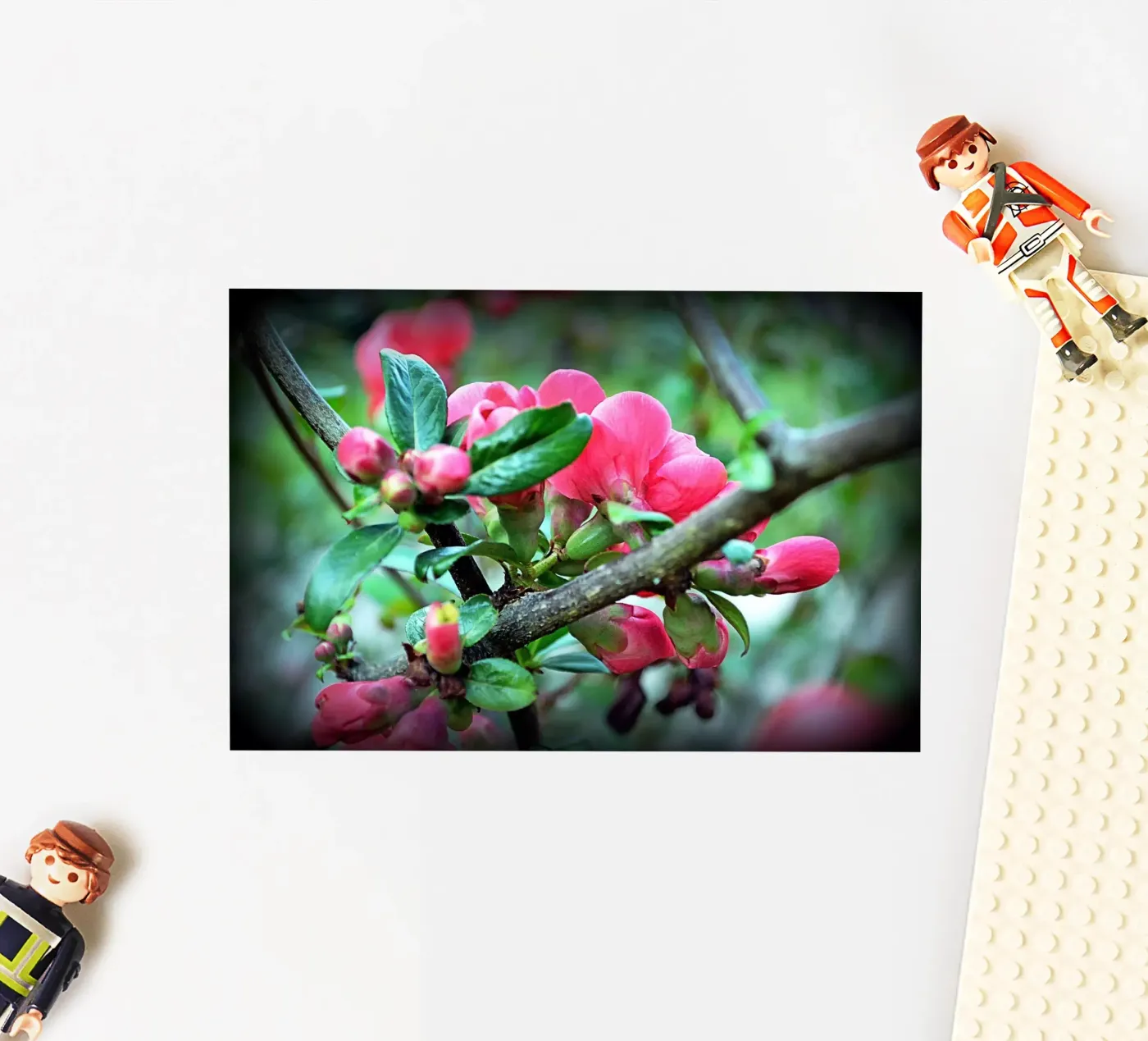 FAA10 sticker van Thierry vobmann photography