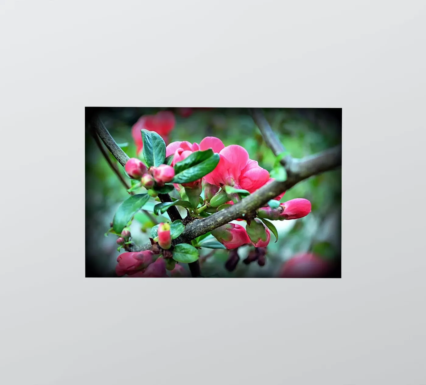 FAA10 sticker by Thierry vobmann photography