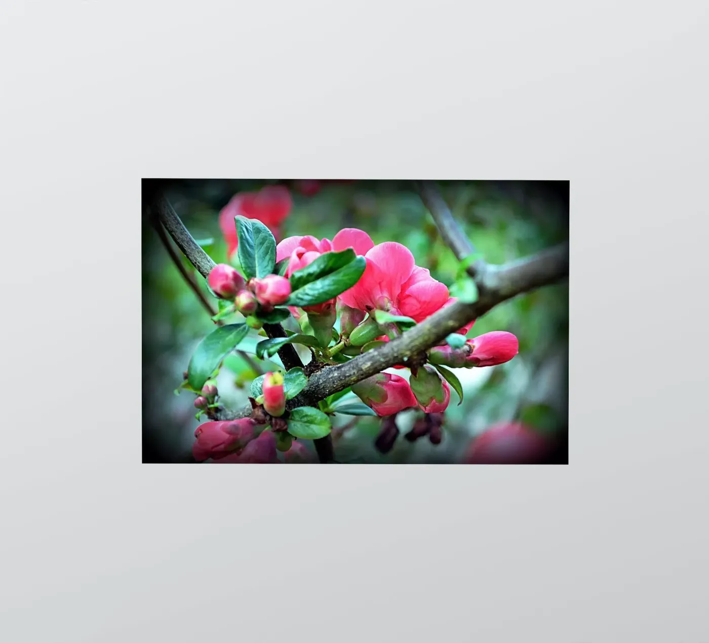 FAA10 sticker van Thierry vobmann photography