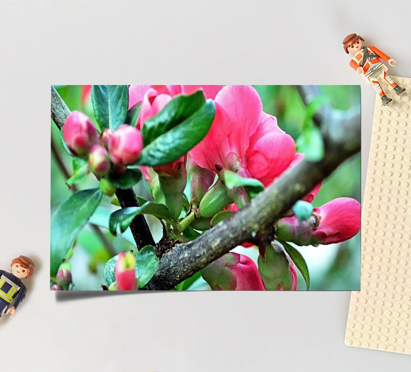 FAA10 sticker sheet by Thierry vobmann photography
