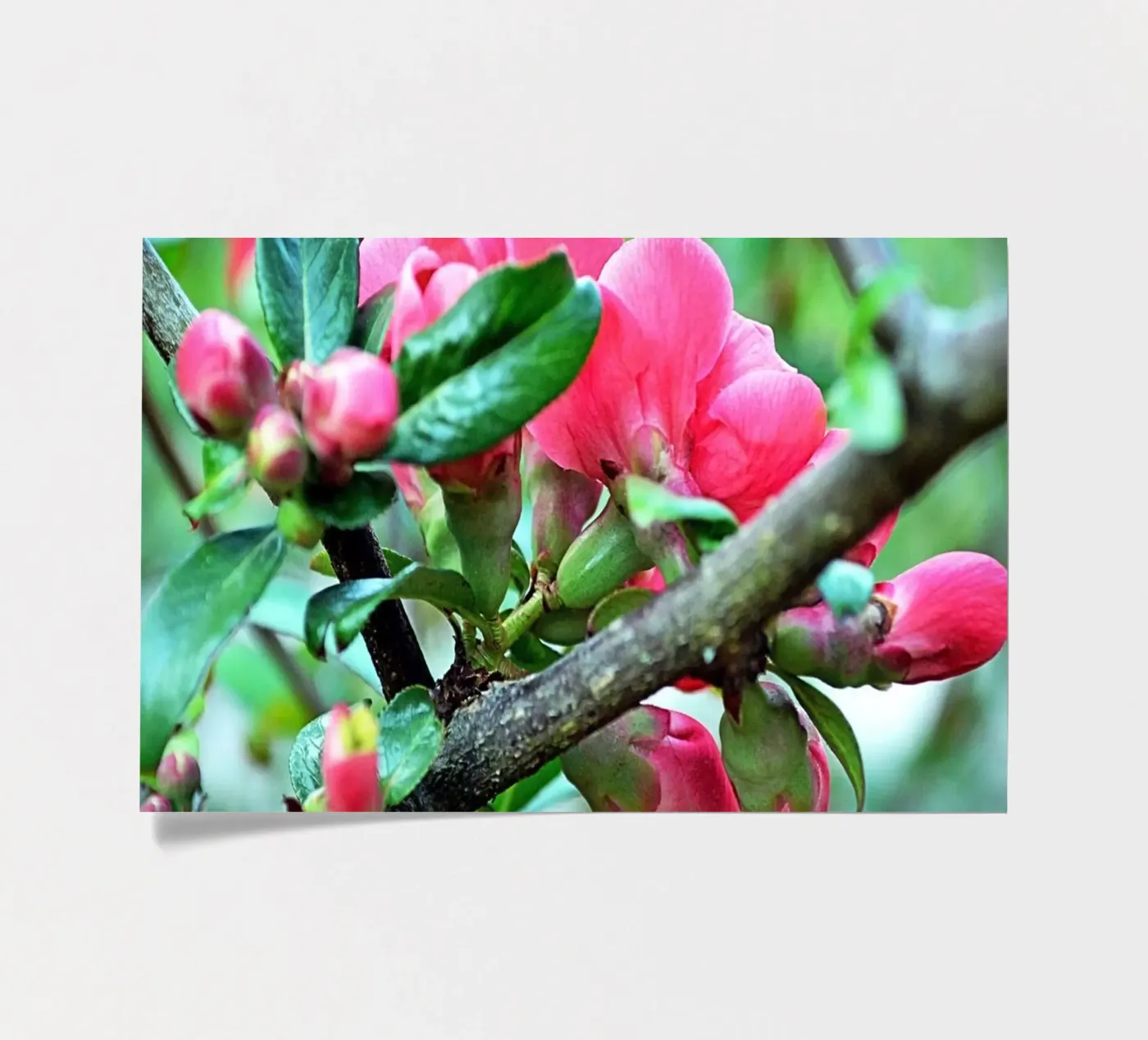 FAA10 sticker sheet by Thierry vobmann photography