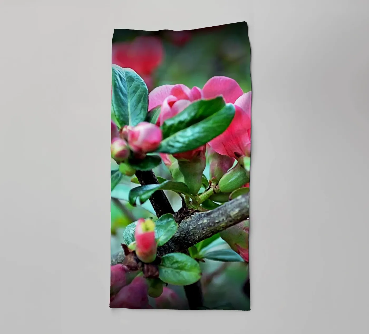 FAA10 towel by Thierry vobmann photography