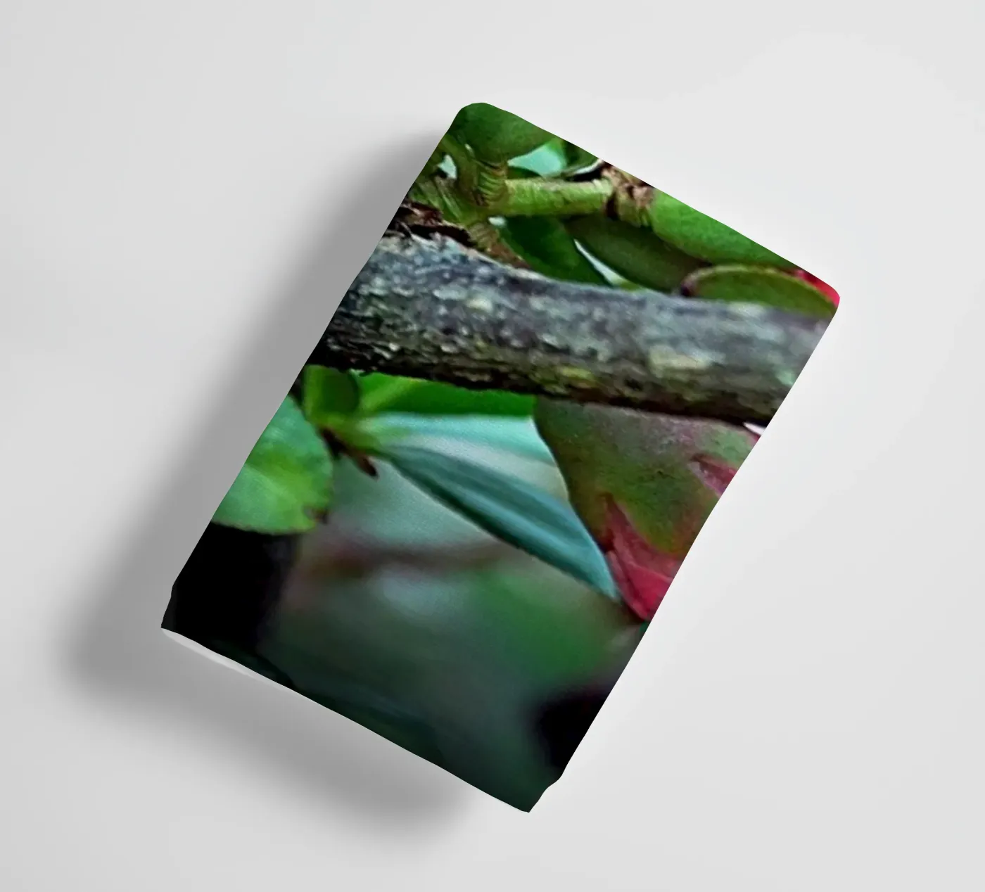 FAA10 towel by Thierry vobmann photography