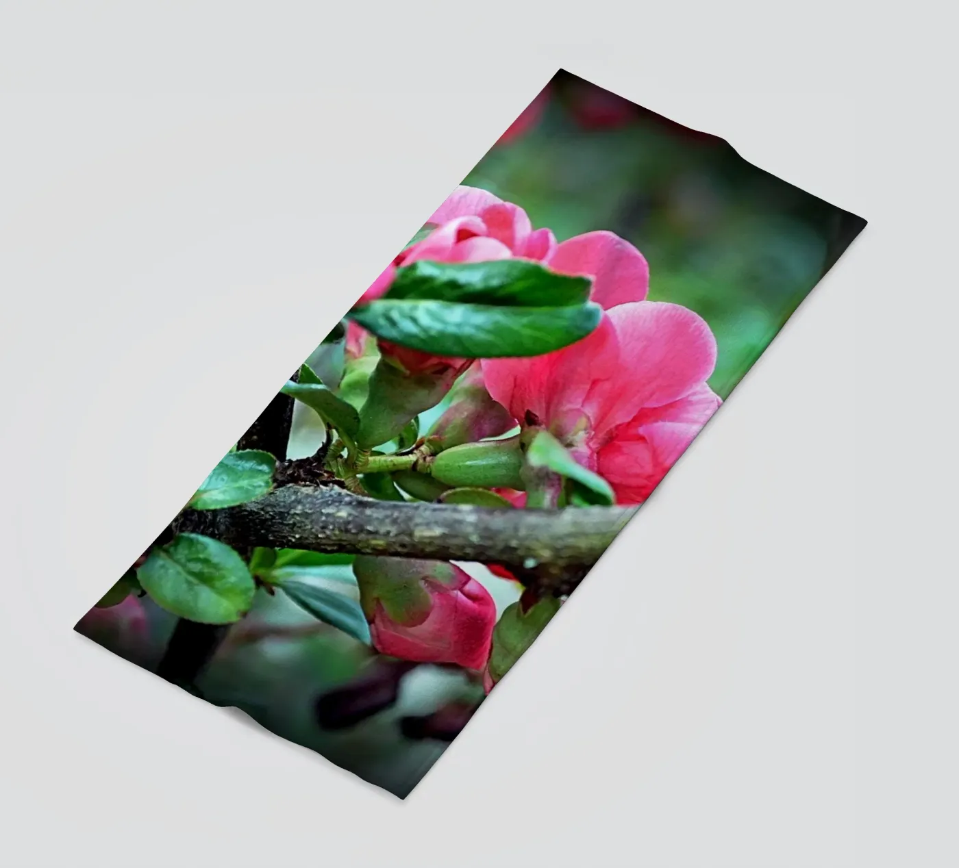 FAA10 beach towel by Thierry vobmann photography