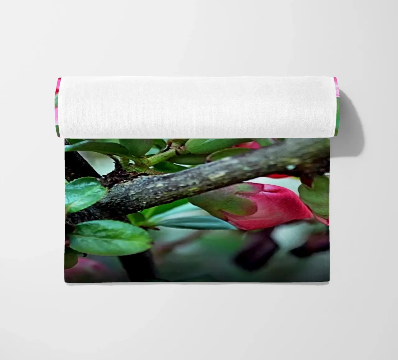 FAA10 telo mare da Thierry vobmann photography