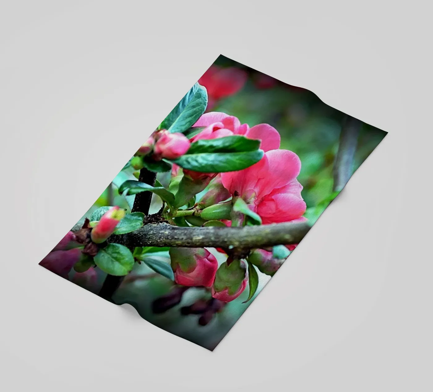 FAA10 strandhanddoek van Thierry vobmann photography