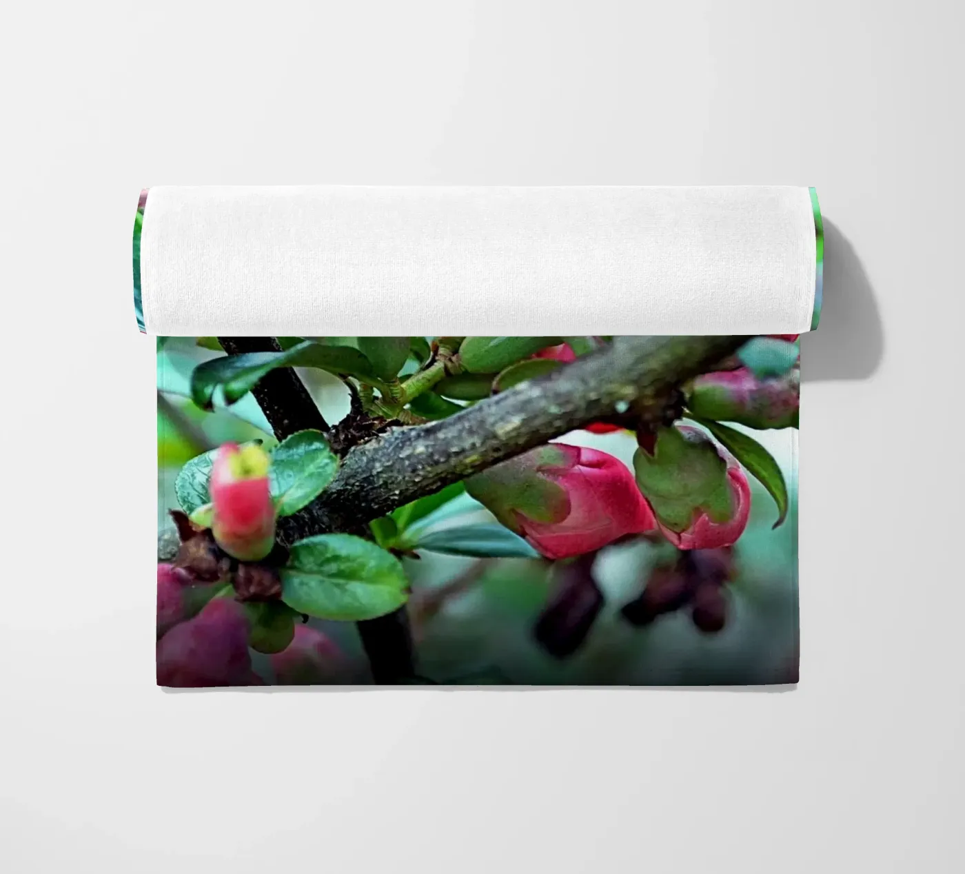 FAA10 beach towel by Thierry vobmann photography