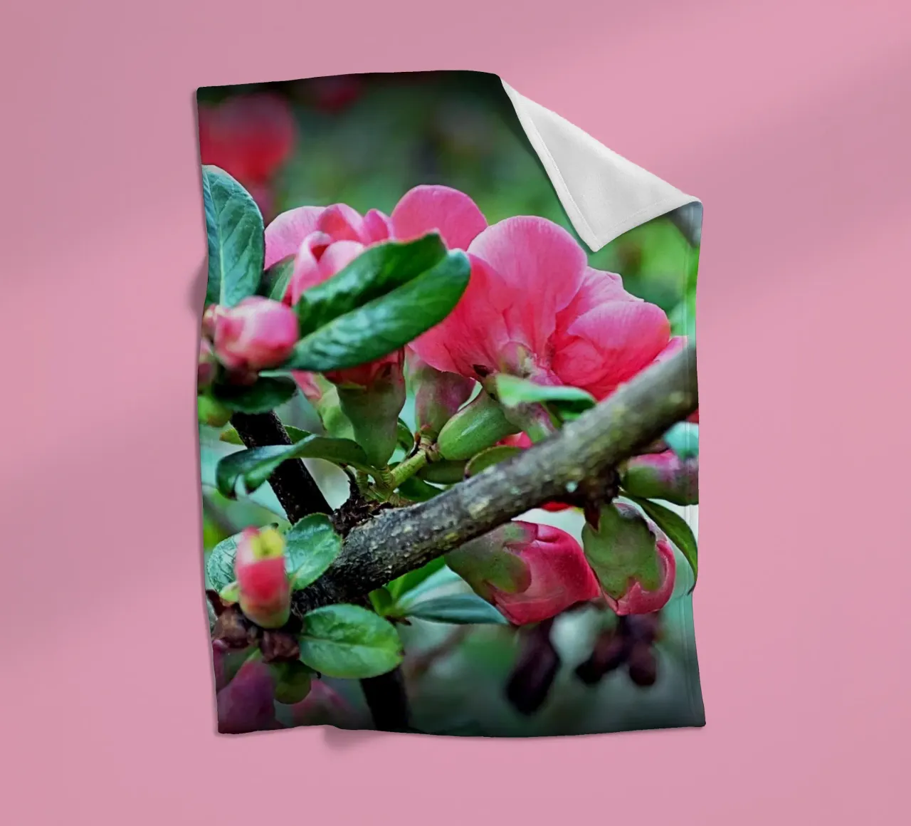 FAA10 Fleecedecke von Thierry vobmann photography